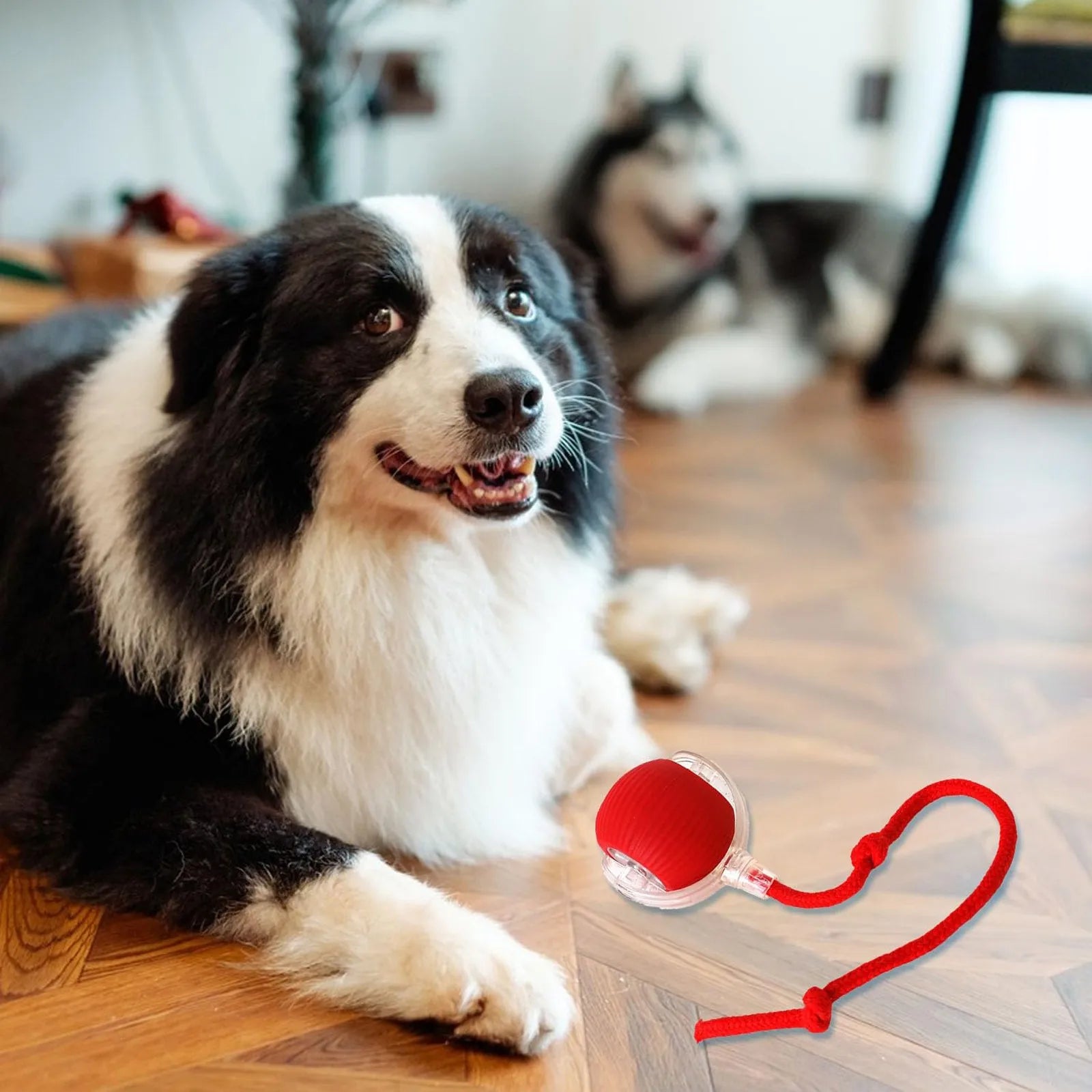 Rolling Ball Dog Toy-Sale✨